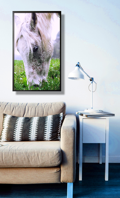 Horse eating grass Poster