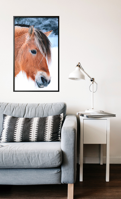 Beautiful horse Poster