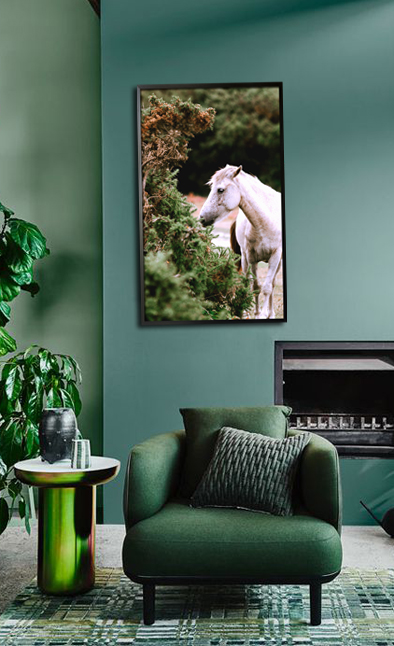 White horse and plant Poster