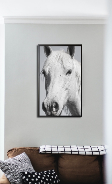 White horse in gray Poster