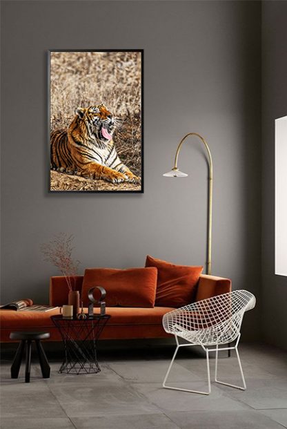 Yawning Tiger Poster in interior