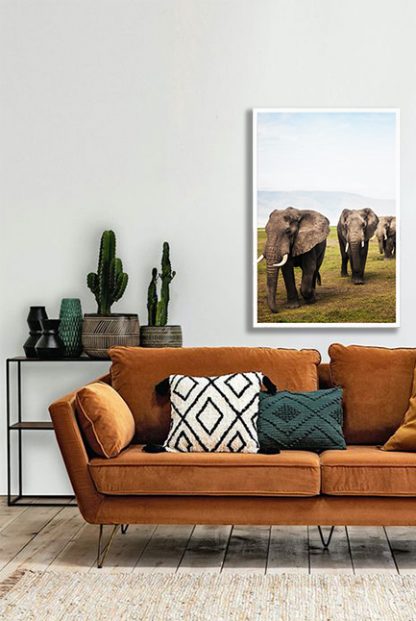 3 Elephant Poster in interior