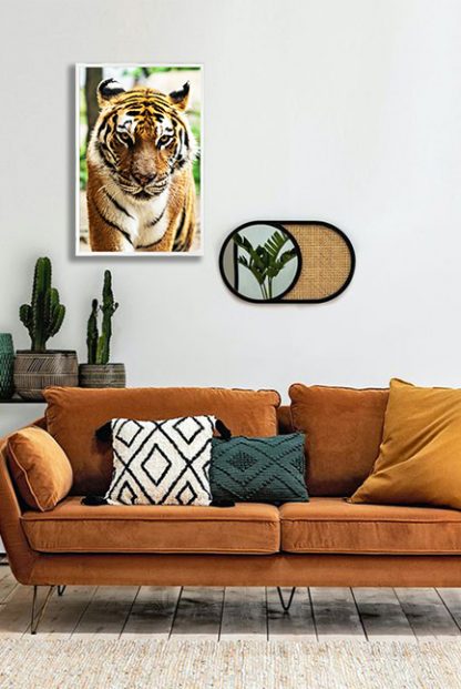 Wild tiger Poster in interior