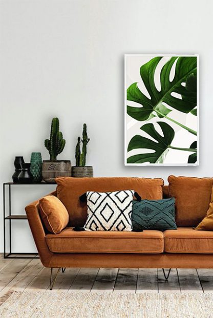 Tropical leaves in white background Poster