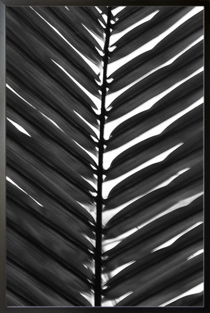 Vertical palm leaves B&W Poster