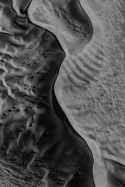 Desert texture B&W Poster