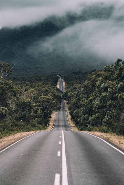 Foggy road Poster