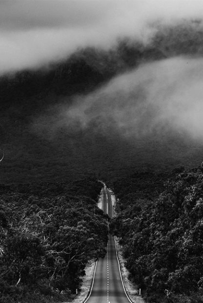 Foggy road B&W Poster