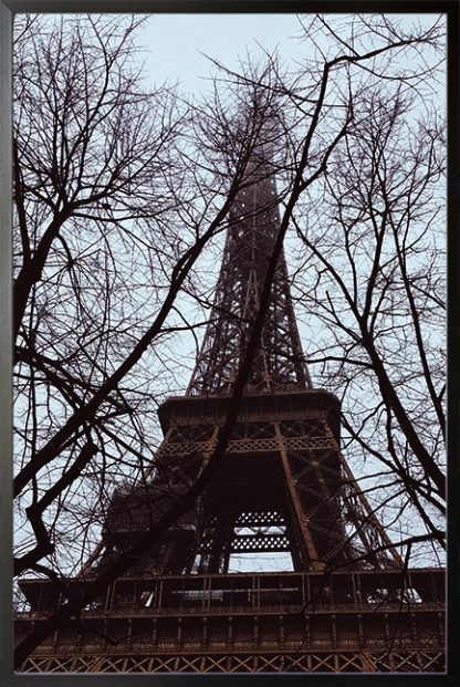 Twigs and eiffel tower Poster