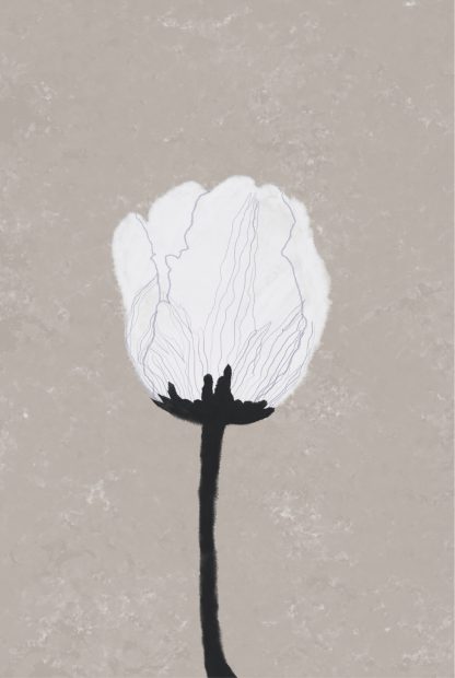 Illustration of a white flower poster