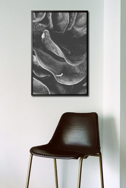 Grayscale clam poster in interior