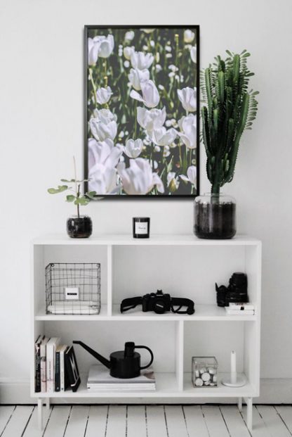 White flowers poster in interior