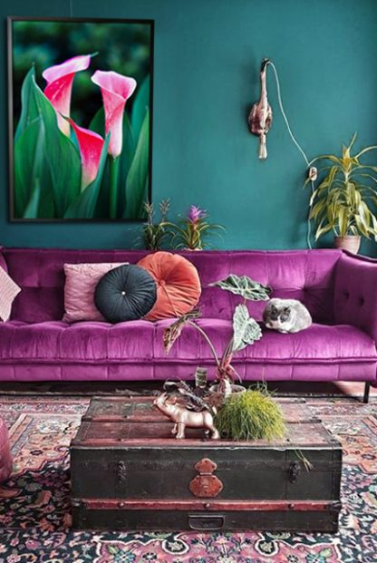 Calla lilies poster in interior