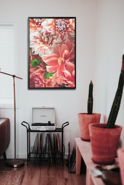 Pink dahlias poster in interior