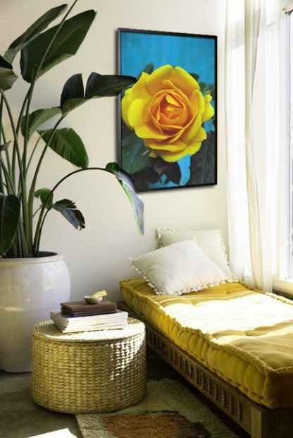 Fresh yellow rose poster in interior