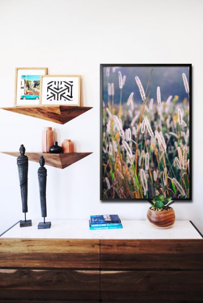 Feather reed grass poster in interior