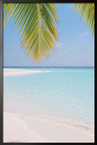 Palm leaves on beach poster
