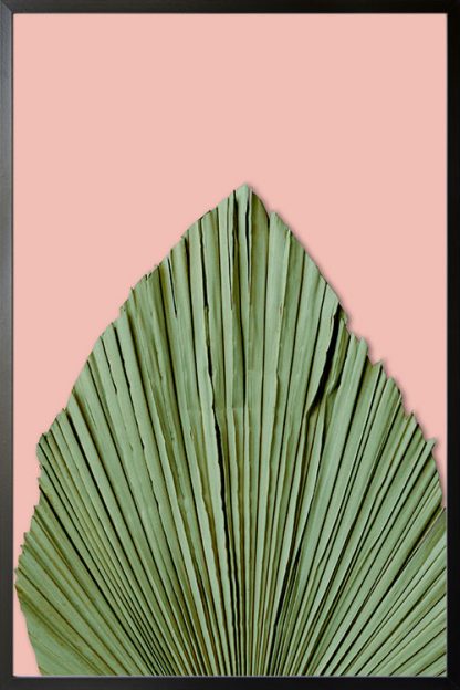 Dry palm leave on pink background poster