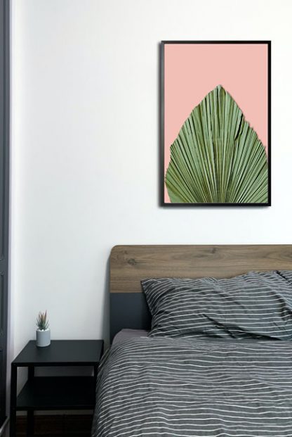 Dry palm leave on pink background poster in interior