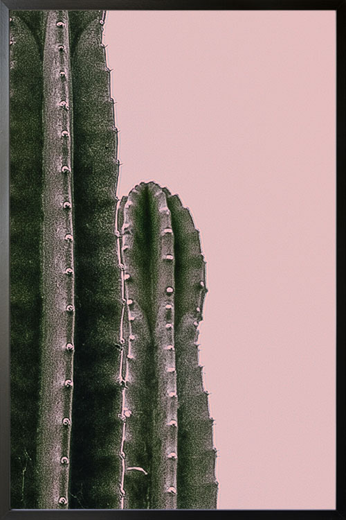 Cactus on pink background poster - Artdesign