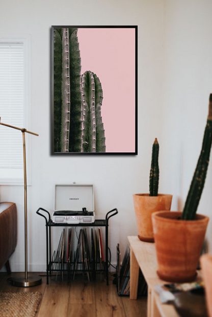 Cactus on pink background poster in interior