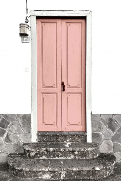 Pink door poster