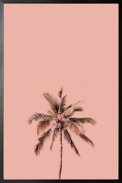 Palm tree pink background poster - Artdesign