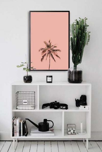 Palm tree pink background poster in interior
