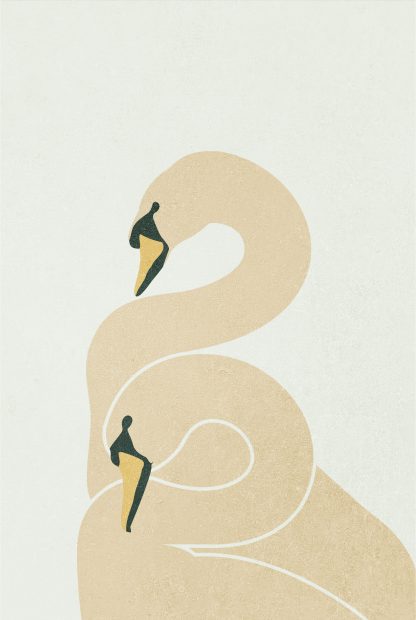Double swan poster