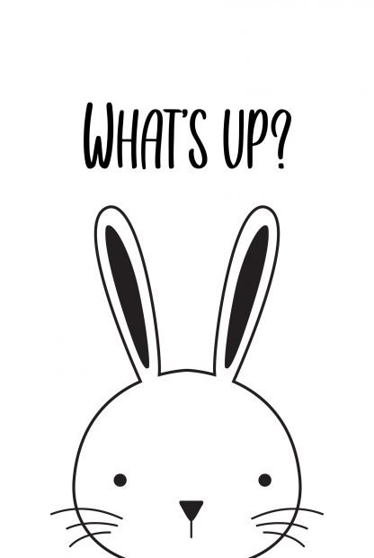 Rabbit whats up poster