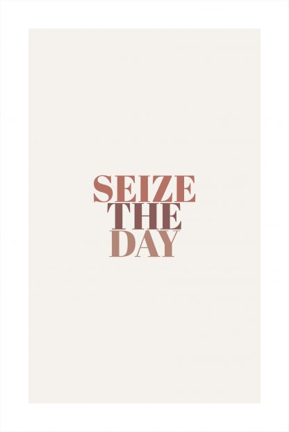 Seize the day poster