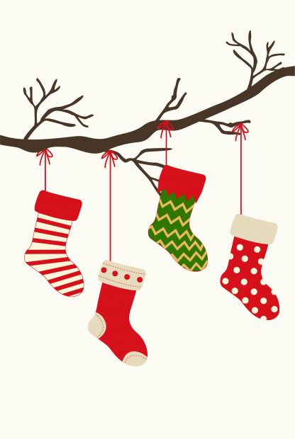 Socks on branch poster