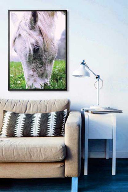 Horse eating grass poster in interior