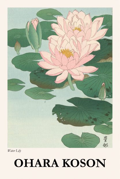 Koson Water lily poster