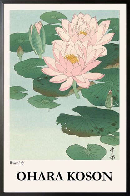 Koson Water lily poster