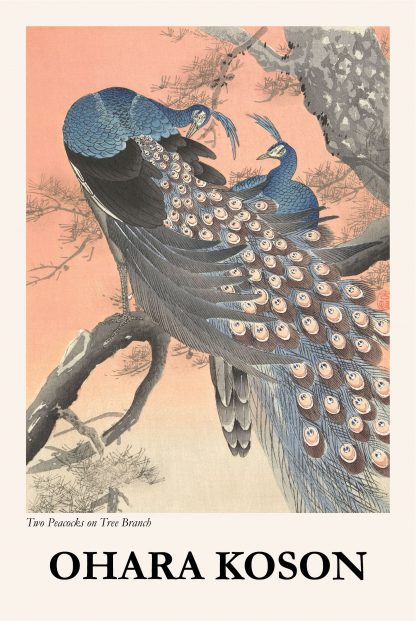 Two Peacocks on Tree Branch poster