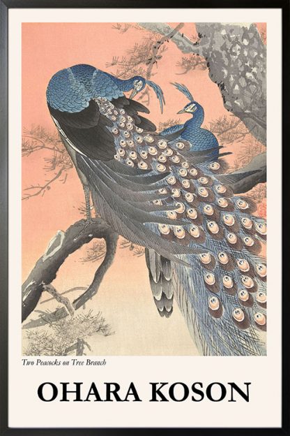 Two Peacocks on Tree Branch poster