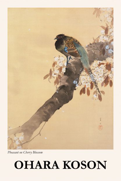 Pheasant on Cherry Blossom poster