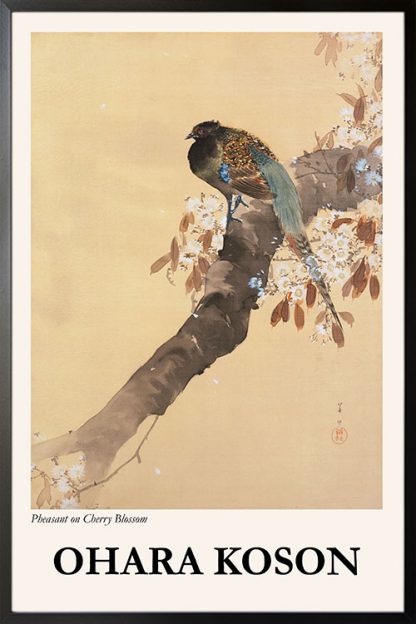 Pheasant on Cherry Blossom poster