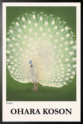 Koson Peacock poster