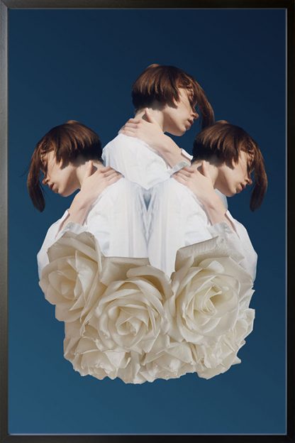 Triplets poster