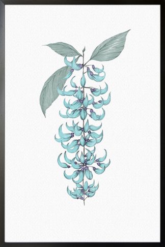 Jade Vine no. 1 poster