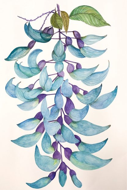 Jade Vine no. 2 poster