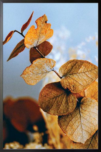 Framed Autumn plant poster
