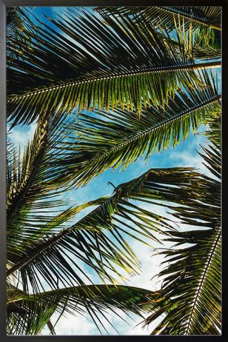 Framed Bunch of palm leaves poster