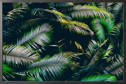 Framed Several palm leaves poster