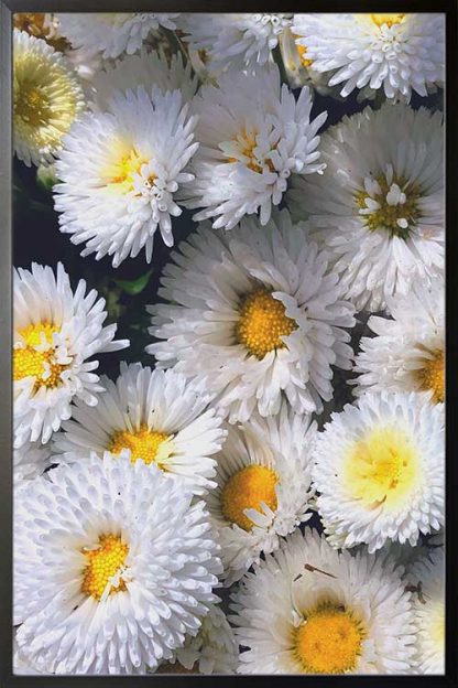 Lovely white flower poster in a black frame