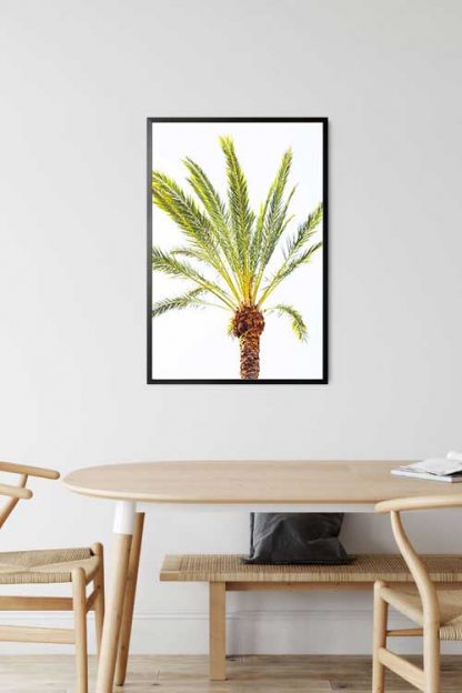 Thin palm leaves poster in an interior