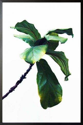 Single Vibrant plant poster in a black frame