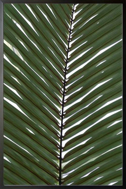 Vertical palm leaves poster in a black frame